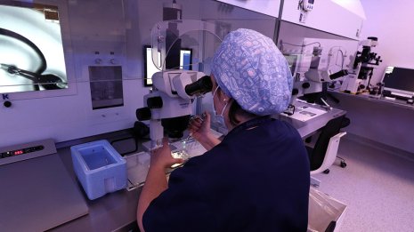 Warum Präimplantationsdiagnostik (PID) in Spanien?