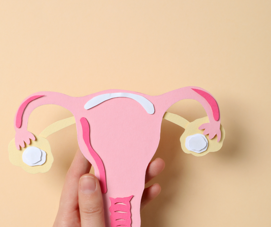 Copy of Untitled Design